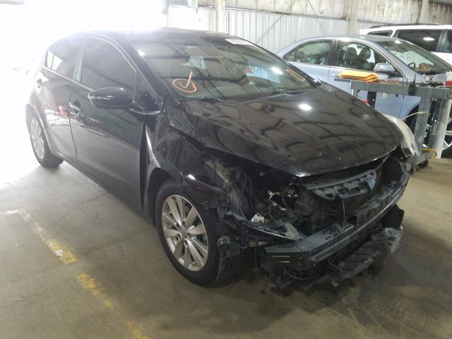 KIA FORTE 2013 knafx4a89e5056589