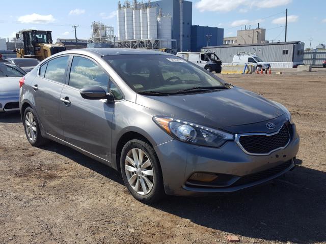 KIA FORTE EX 2014 knafx4a89e5176294