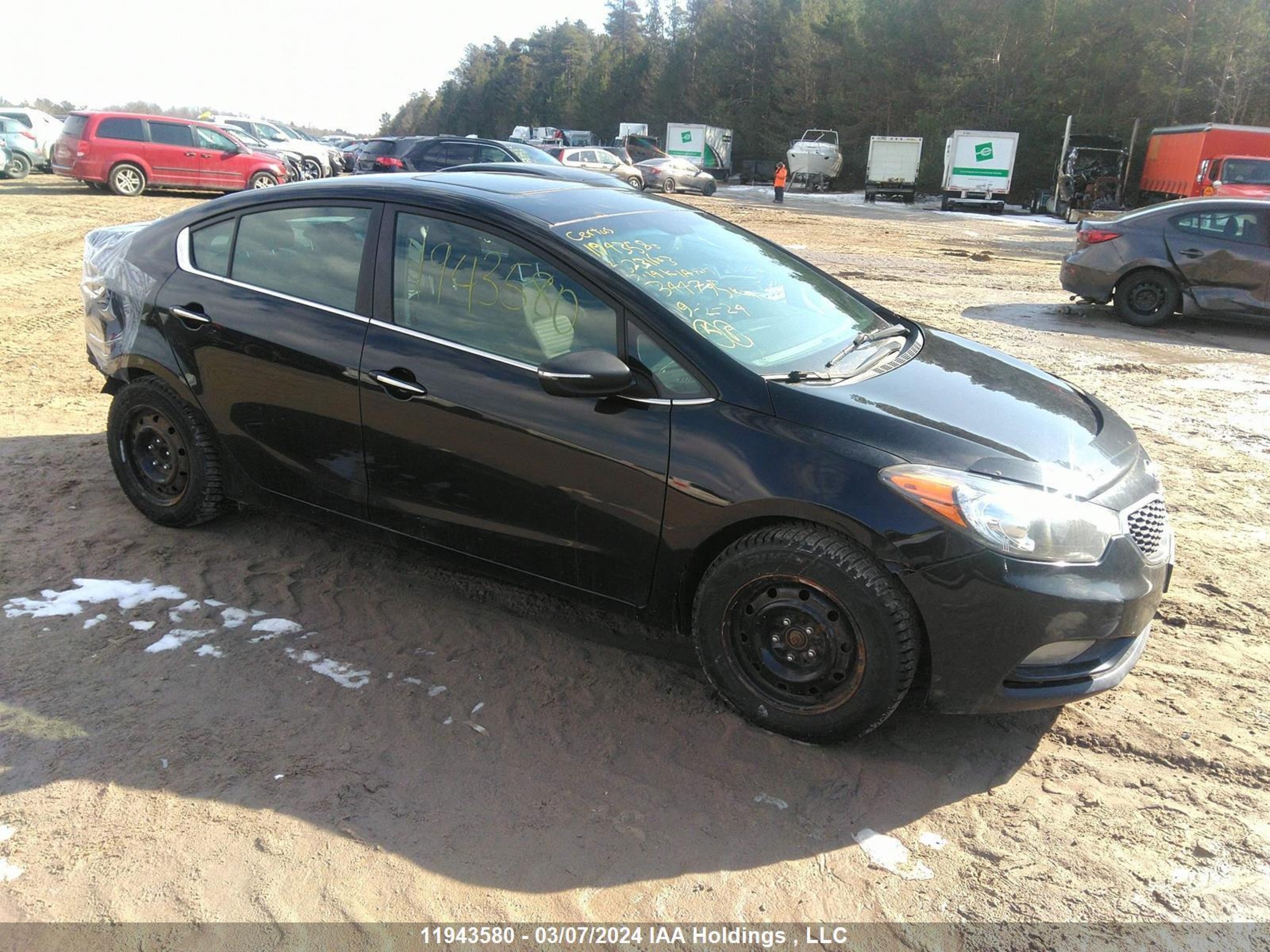 KIA FORTE 2014 knafx4a89e5231603