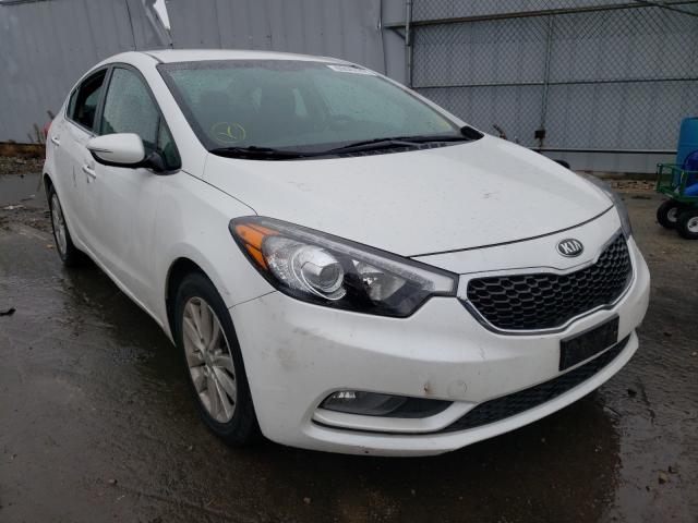 KIA FORTE EX 2015 knafx4a89f5280348