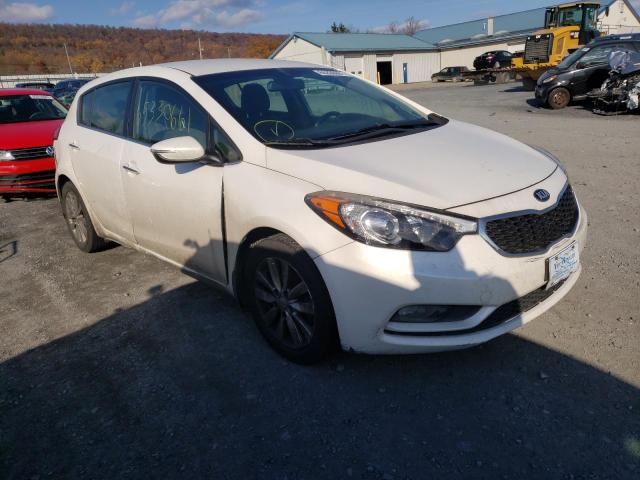 KIA FORTE EX 2014 knafx5a80e5244830