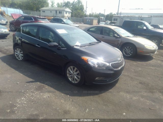 KIA FORTE 5-DOOR 2015 knafx5a80f5317549