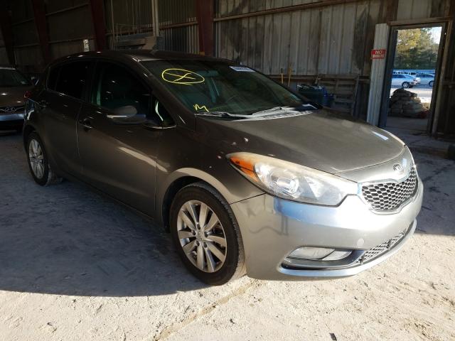 KIA FORTE EX 2014 knafx5a81e5236977