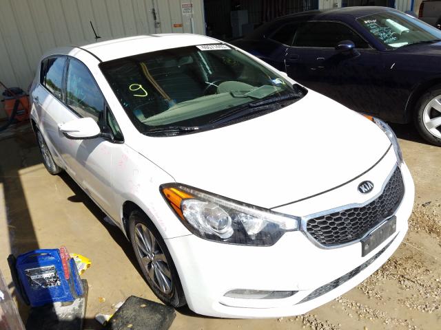 KIA FORTE EX 2014 knafx5a83e5165281