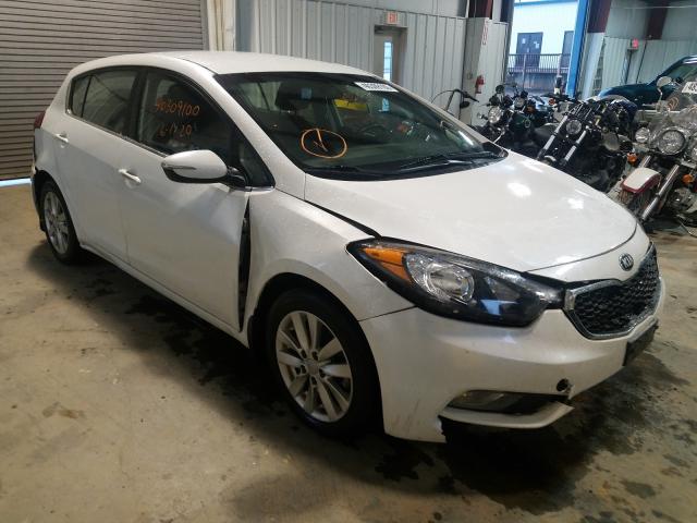 KIA FORTE EX 2014 knafx5a83e5196336