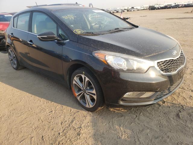 KIA FORTE EX 2016 knafx5a83g5605230