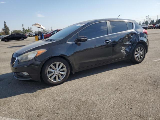 KIA FORTE EX 2014 knafx5a84e5169369