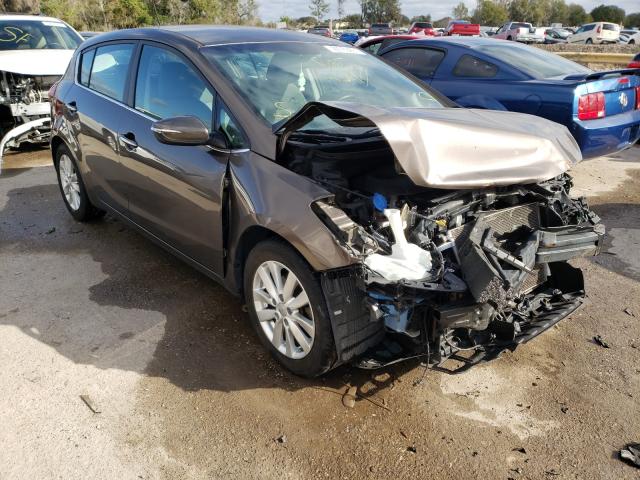 KIA FORTE EX 2014 knafx5a85e5246136