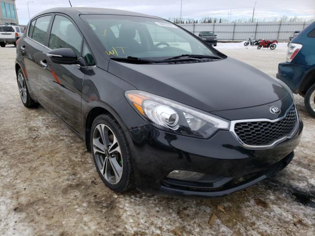 KIA FORTE EX 2014 knafx5a86e5247733