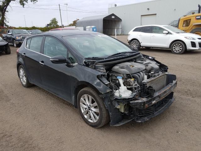 KIA FORTE EX 2017 knafx5a86h5672177