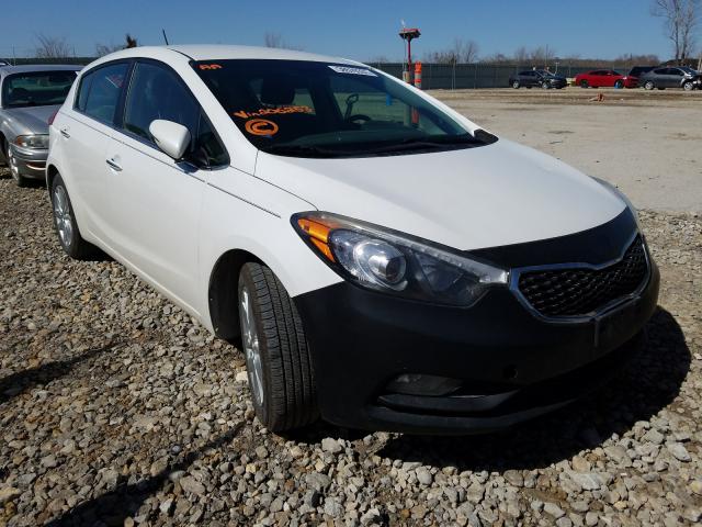 KIA FORTE EX 2014 knafx5a87e5206253