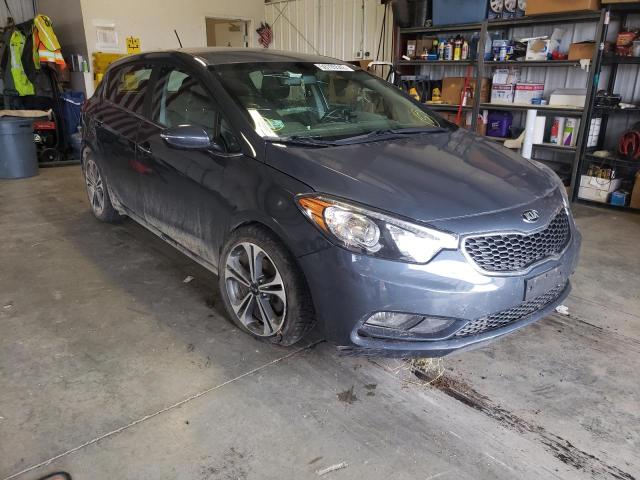 KIA FORTE EX 2016 knafx5a87g5627201