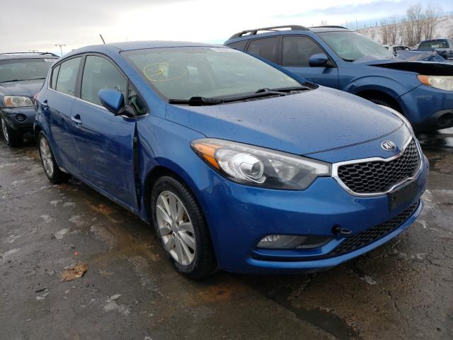 KIA FORTE EX 2014 knafx5a88e5179046