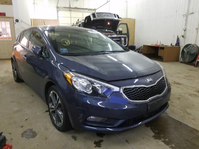 KIA FORTE EX 2016 knafx5a89g5628768