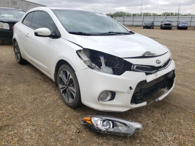 KIA FORTE EX 2014 knafx6a80e5223269