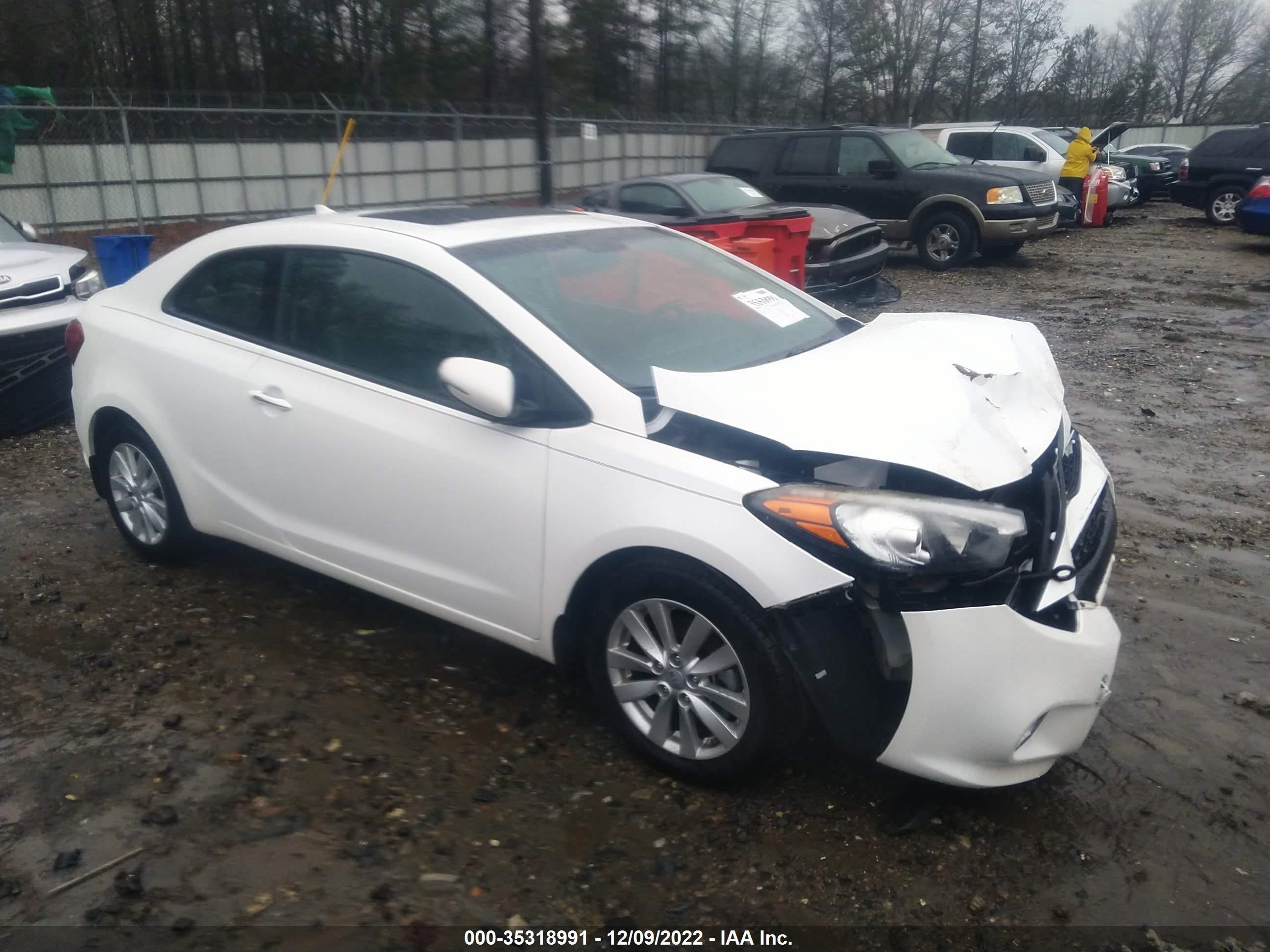 KIA FORTE 2014 knafx6a81e5162305