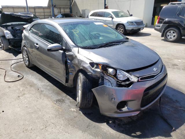 KIA FORTE EX 2014 knafx6a81e5185339