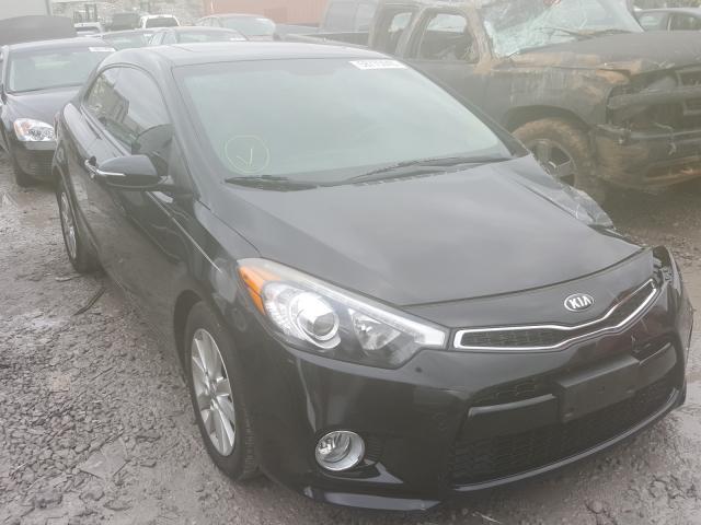 KIA FORTE EX 2014 knafx6a81e5204245