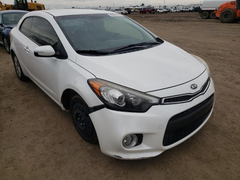 KIA FORTE EX 2014 knafx6a81e5219831