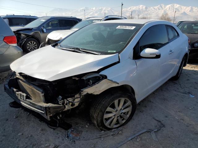 KIA FORTE 2014 knafx6a81e5235348