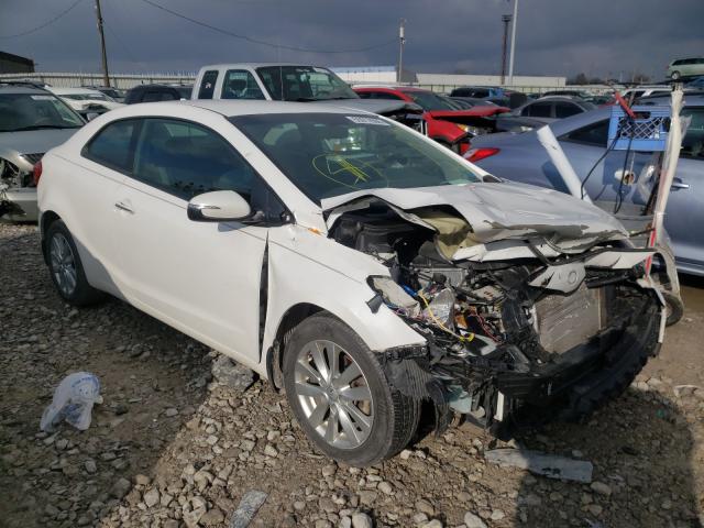 KIA FORTE EX 2014 knafx6a82e5217313