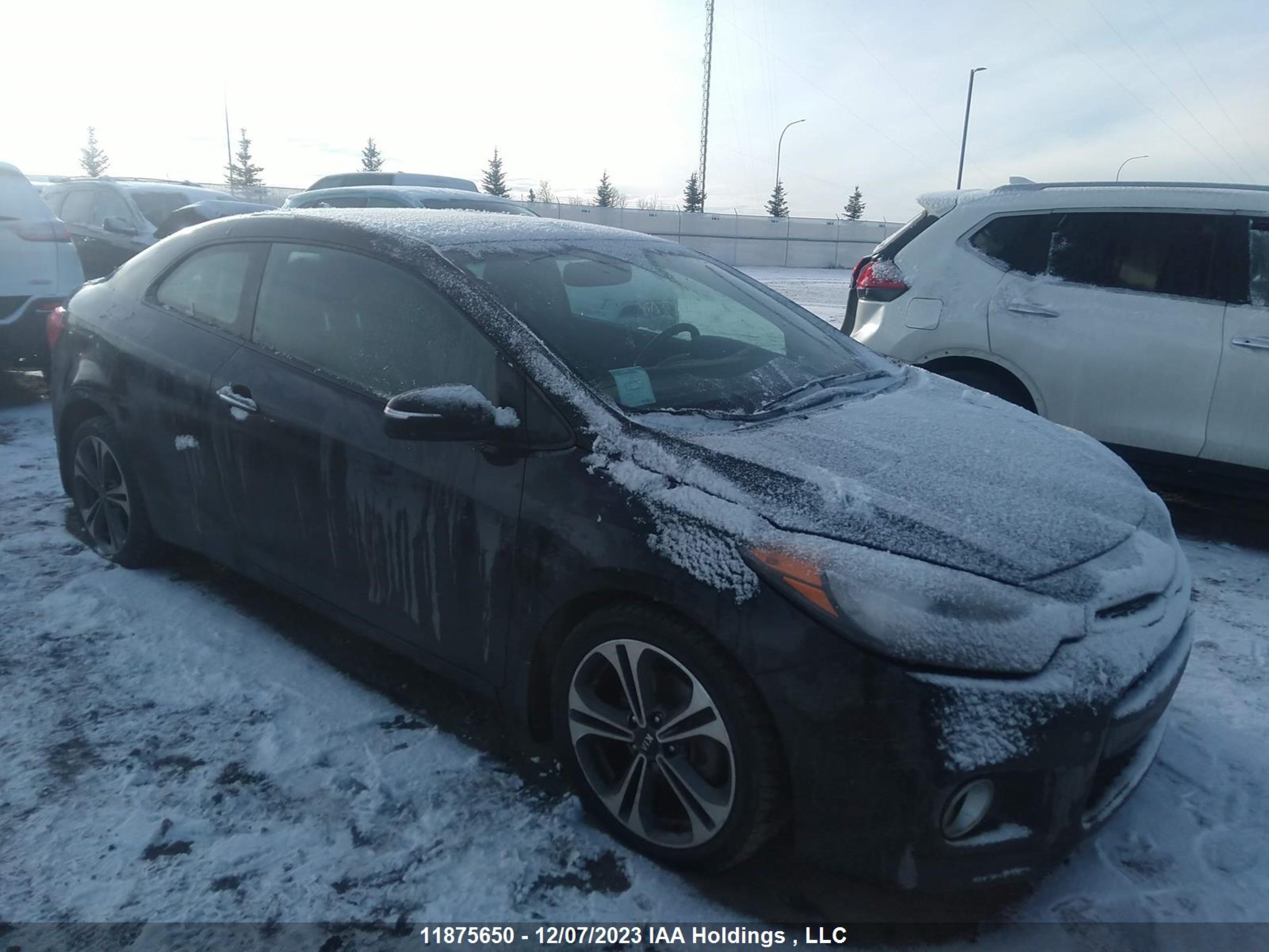 KIA FORTE 2016 knafx6a85g5484139