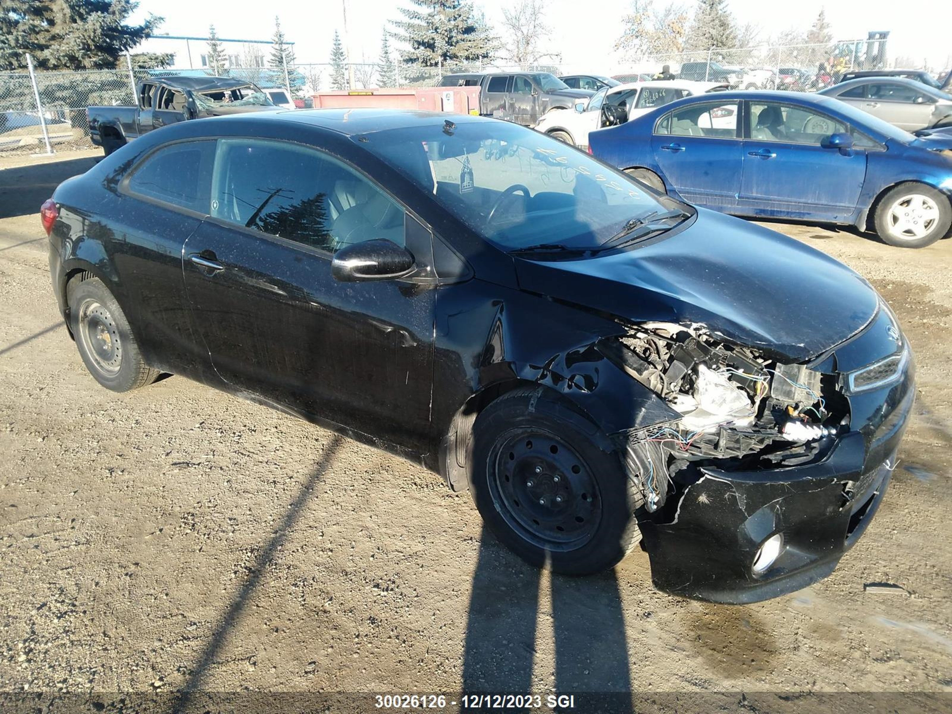 KIA FORTE 2014 knafx6a87e5254597