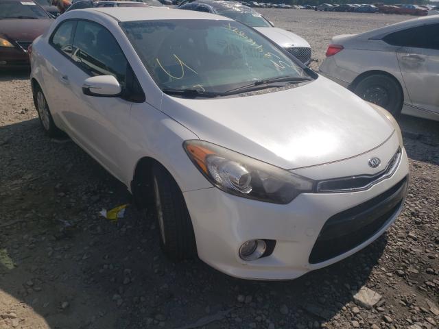 KIA FORTE EX 2015 knafx6a87f5402863