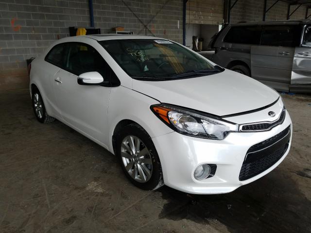 KIA FORTE EX 2014 knafx6a88e5196595