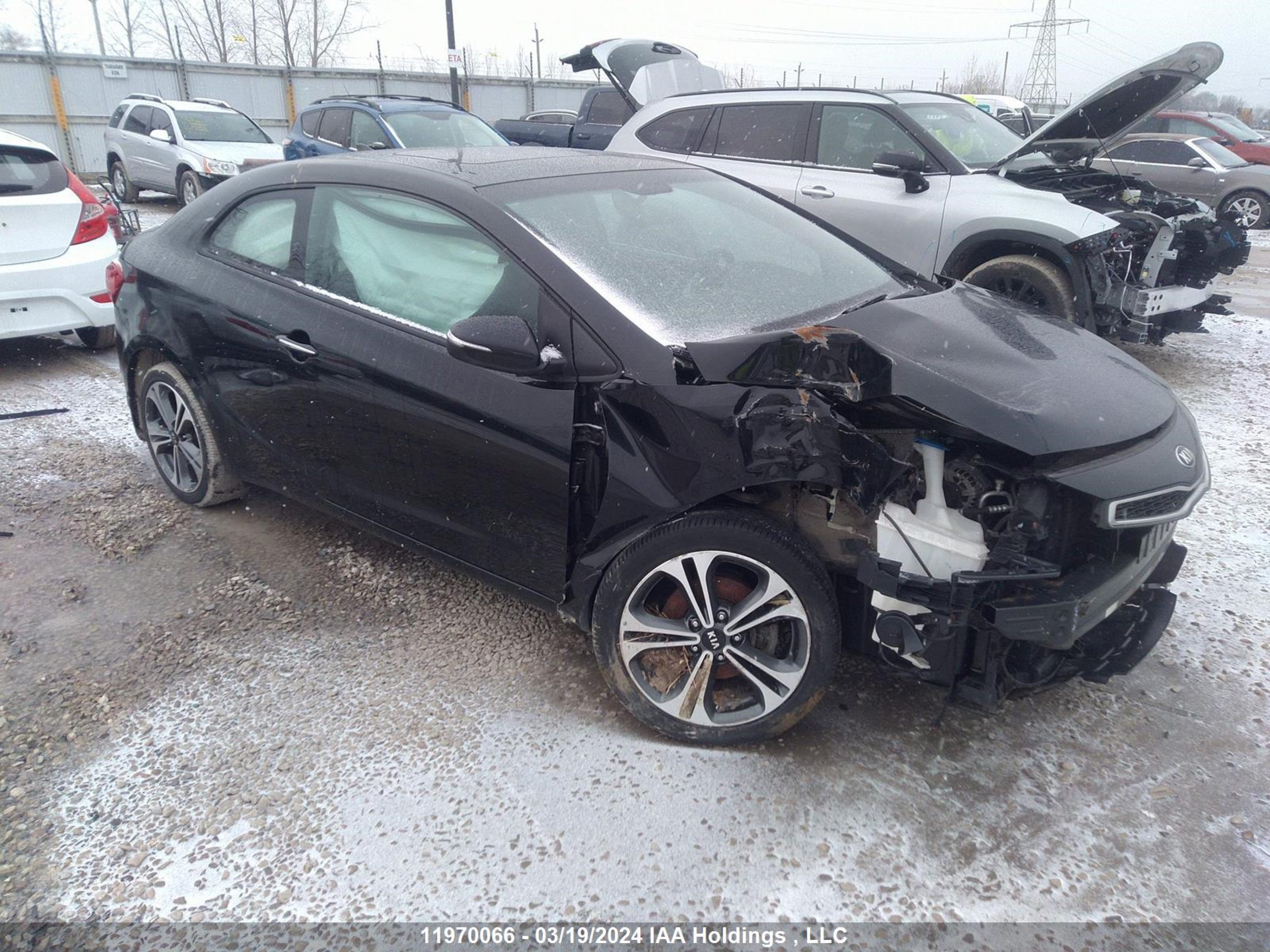 KIA FORTE 2016 knafx6a88g5655417