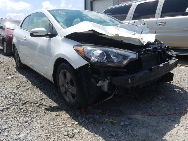 KIA FORTE EX 2014 knafx6a89e5182821