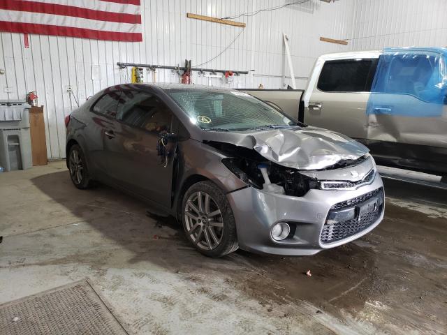 KIA FORTE EX 2014 knafx6a89e5221116