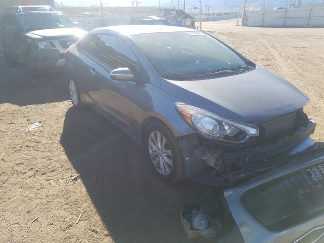 KIA FORTE EX 2014 knafx6a8xe5160858