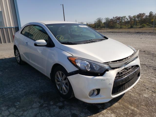 KIA FORTE EX 2014 knafx6a8xe5230648