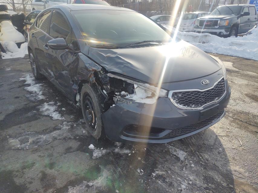 KIA FORTE EX 2014 knafz4a81e5235333