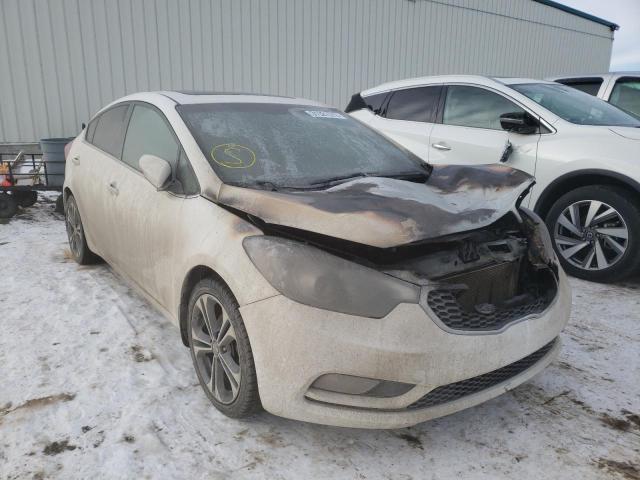 KIA FORTE EX 2014 knafz4a83e5055464