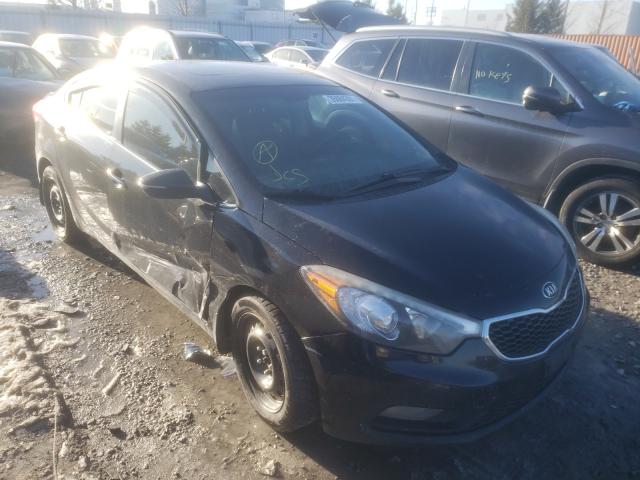 KIA FORTE EX 2014 knafz4a87e5054785