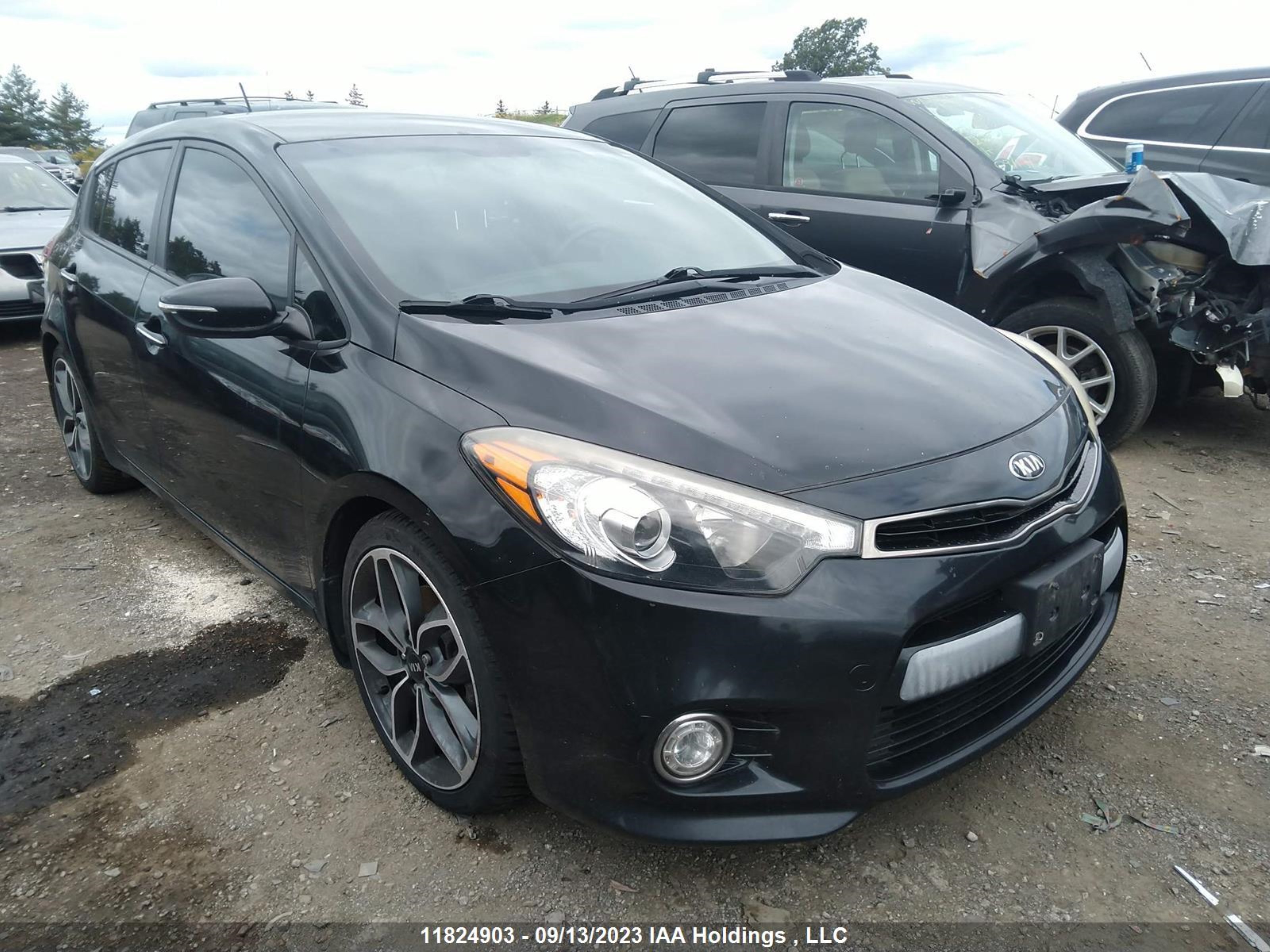 KIA FORTE 2015 knafz5a38f5300142