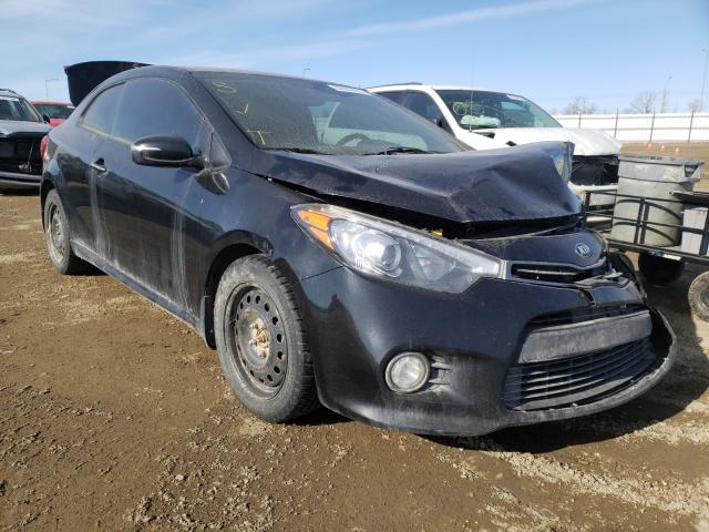 KIA FORTE SX 2014 knafz6a35e5249185