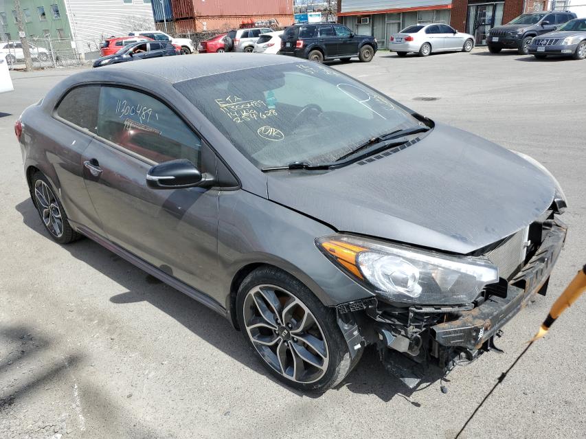 KIA FORTE SX 2014 knafz6a35e5254628