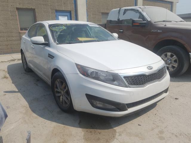 KIA OPTIMA LX 2013 knagm4a72d5334462