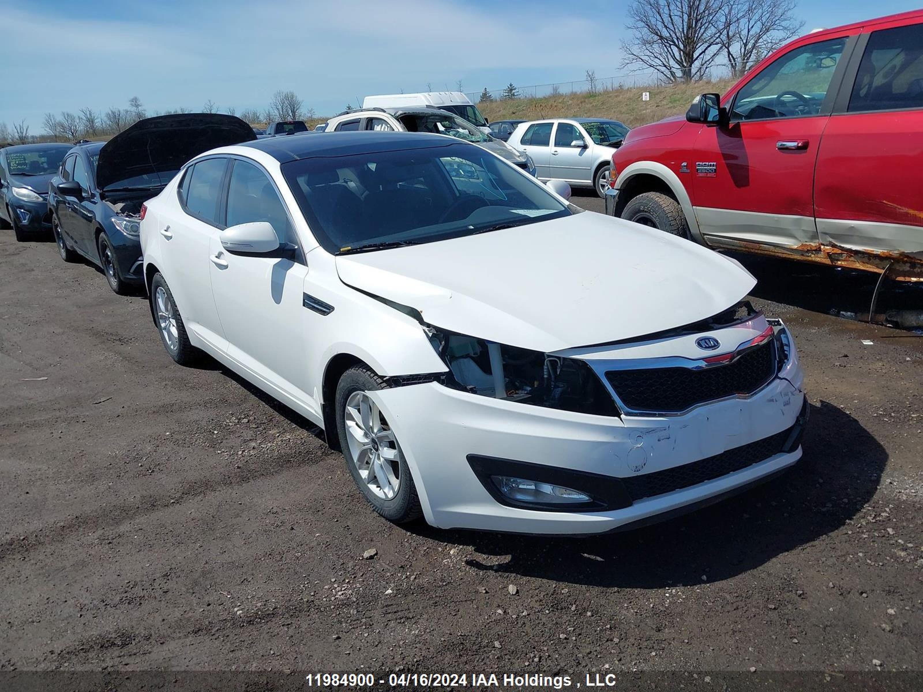 KIA OPTIMA 2012 knagm4a75c5251297