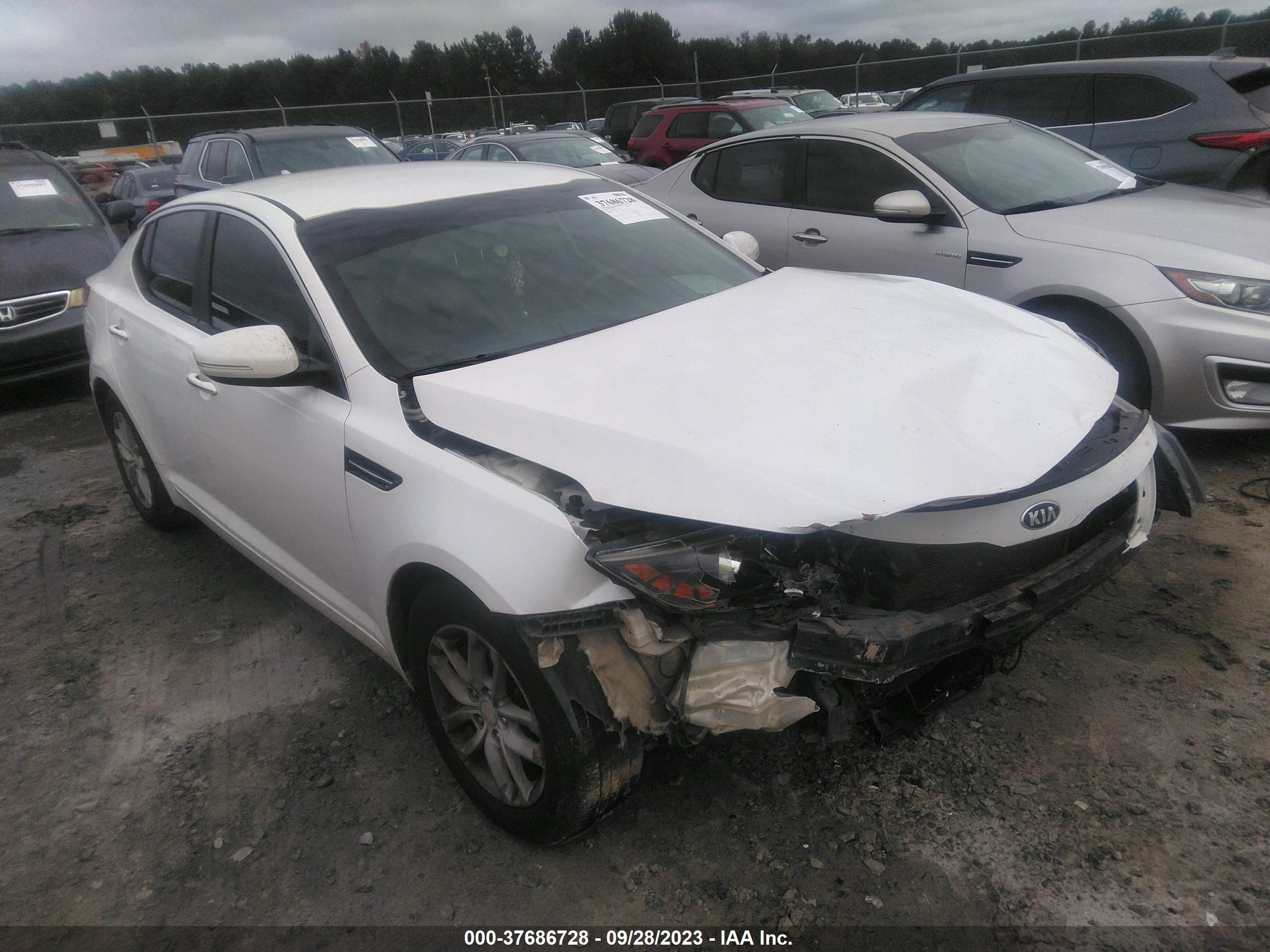 KIA OPTIMA 2013 knagm4a75d5337002