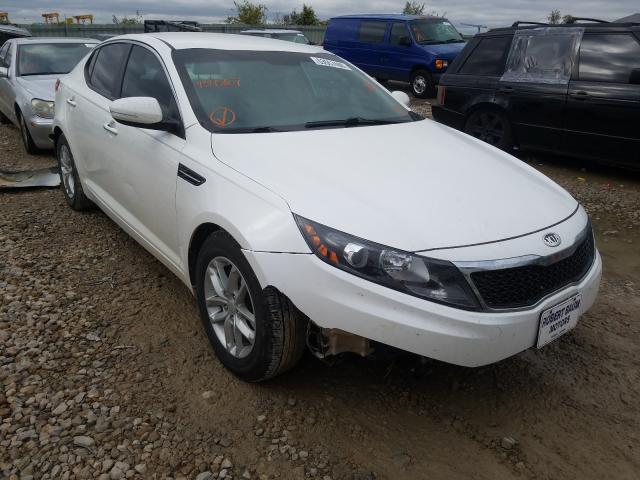 KIA OPTIMA LX 2013 knagm4a75d5439867