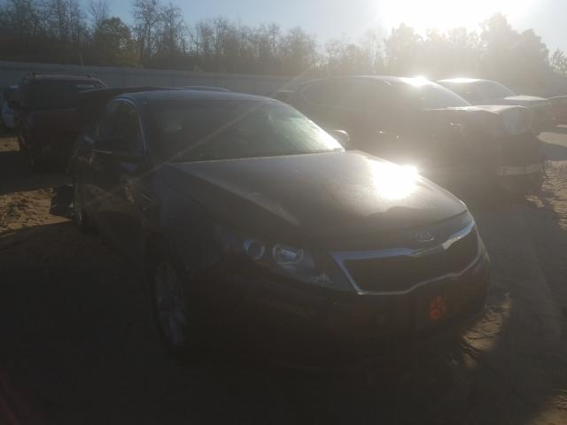 KIA OPTIMA LX 2011 knagm4a77b5054288