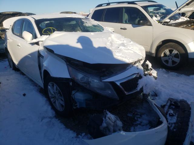 KIA OPTIMA LX 2013 knagm4a77d5376688