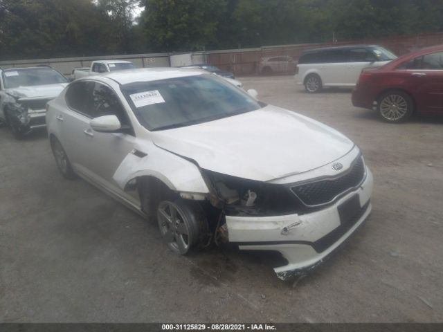 KIA OPTIMA 2015 knagm4a78f5647437