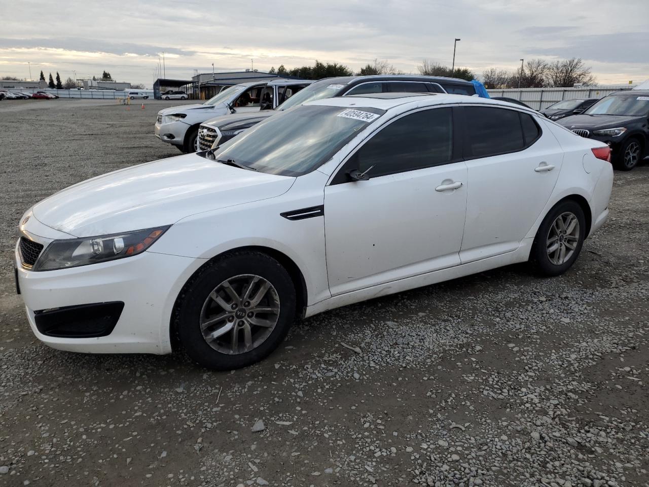 KIA OPTIMA 2011 knagm4a79b5063669