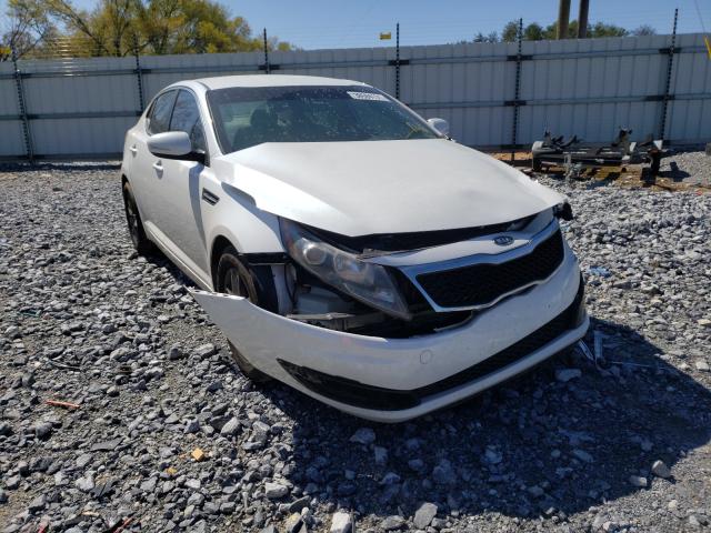 KIA OPTIMA LX 2011 knagm4a79b5193452