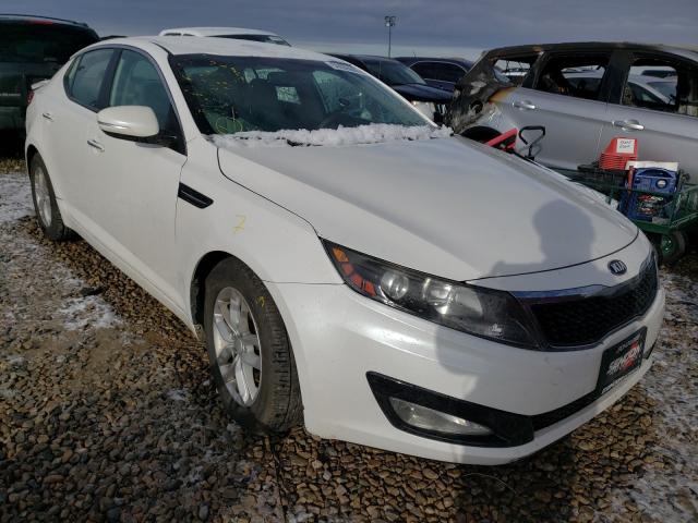 KIA OPTIMA LX 2013 knagm4a7xd5339473